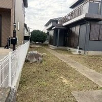 ブログ画像