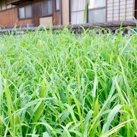 画像1434：残置物が残っていても現状買取させていただきます!!